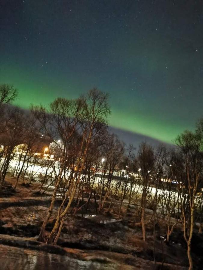 Aurora Rooms In Shared Hsuse Nr3 We Are Doing Northen Lights Trip, Reaindear Trip And Sommaroy Fjord Trips Тромсё Экстерьер фото
